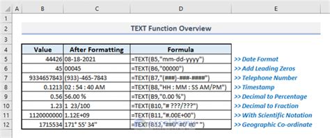 excel force text|How to Use TEXT Function in Excel (10 Examples).
